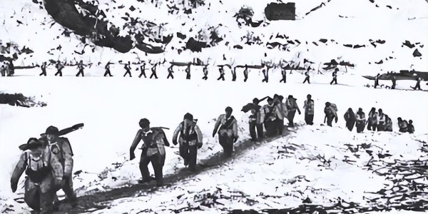 多多28-二百多名军官被枪毙、撤职、处分，长津湖战役中失职的志愿军88师